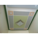 Trần Thạch Cao - MS09