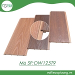 Gỗ Nhựa Composite Ngoài Trời OWP125T9