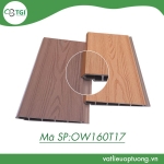 Gỗ Nhựa Composite Ngoài Trời OW160T17